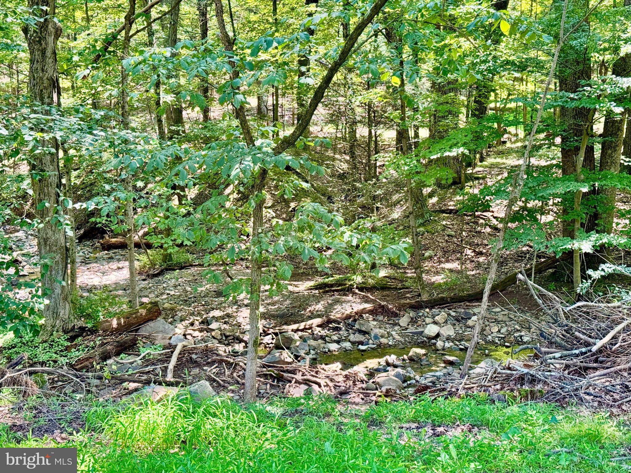 12602 Gramlich Road Southwest La Vale, MD 21502 - Photo 43 of 53 YOUR VERY OWN CREEK IN THE BACK YARD!