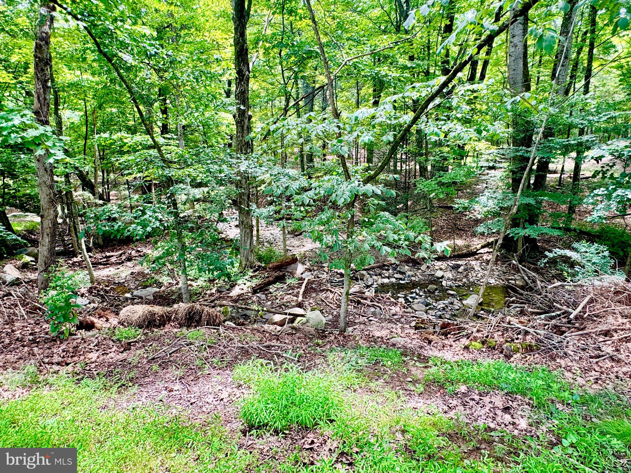 12602 Gramlich Road Southwest La Vale, MD 21502 - Photo 49 of 53 Gallery Image 49
