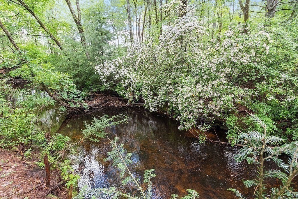 50 Sauna Row Road Townsend, MA 01474 - Photo 24 of 41 a view of a forest
