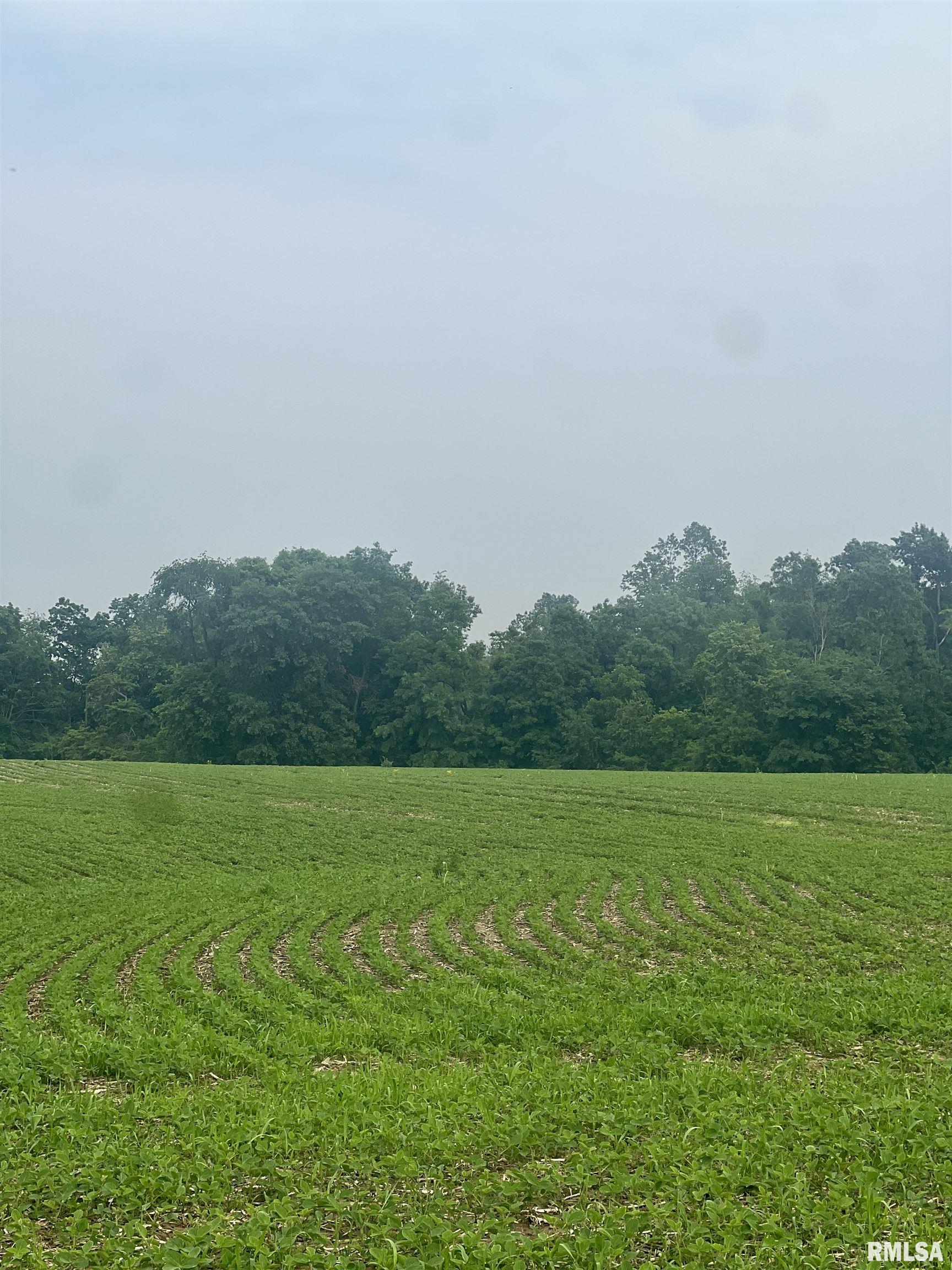 14953 East Grain Bin Road Lewistown, IL 61542 - Photo 4 of 7