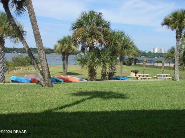 a view of a park with palm trees