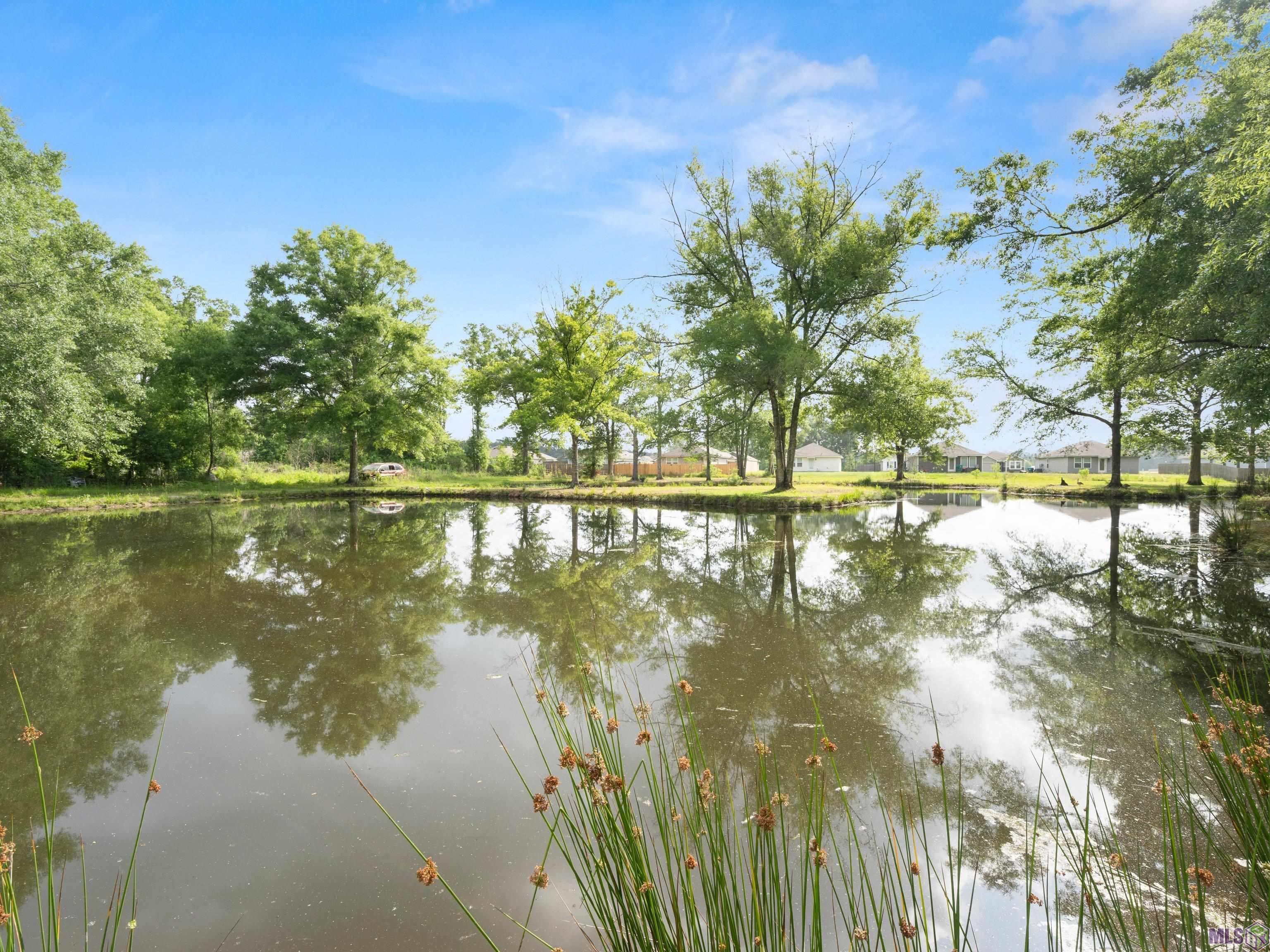 33382 Duff Road Walker, LA 70785 - Photo 16 of 20