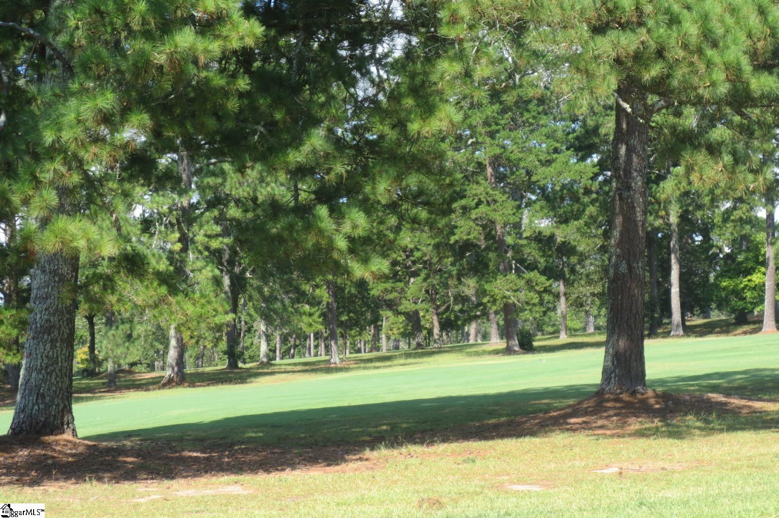 120 Shirley Store Road Anderson, SC 29621 - Photo 9 of 13
