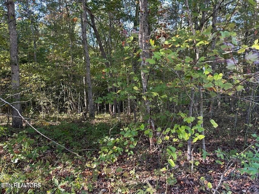 0 Falling Leaf Road Jamestown, TN 38556 - Photo 30 of 35 Gallery Image 30
