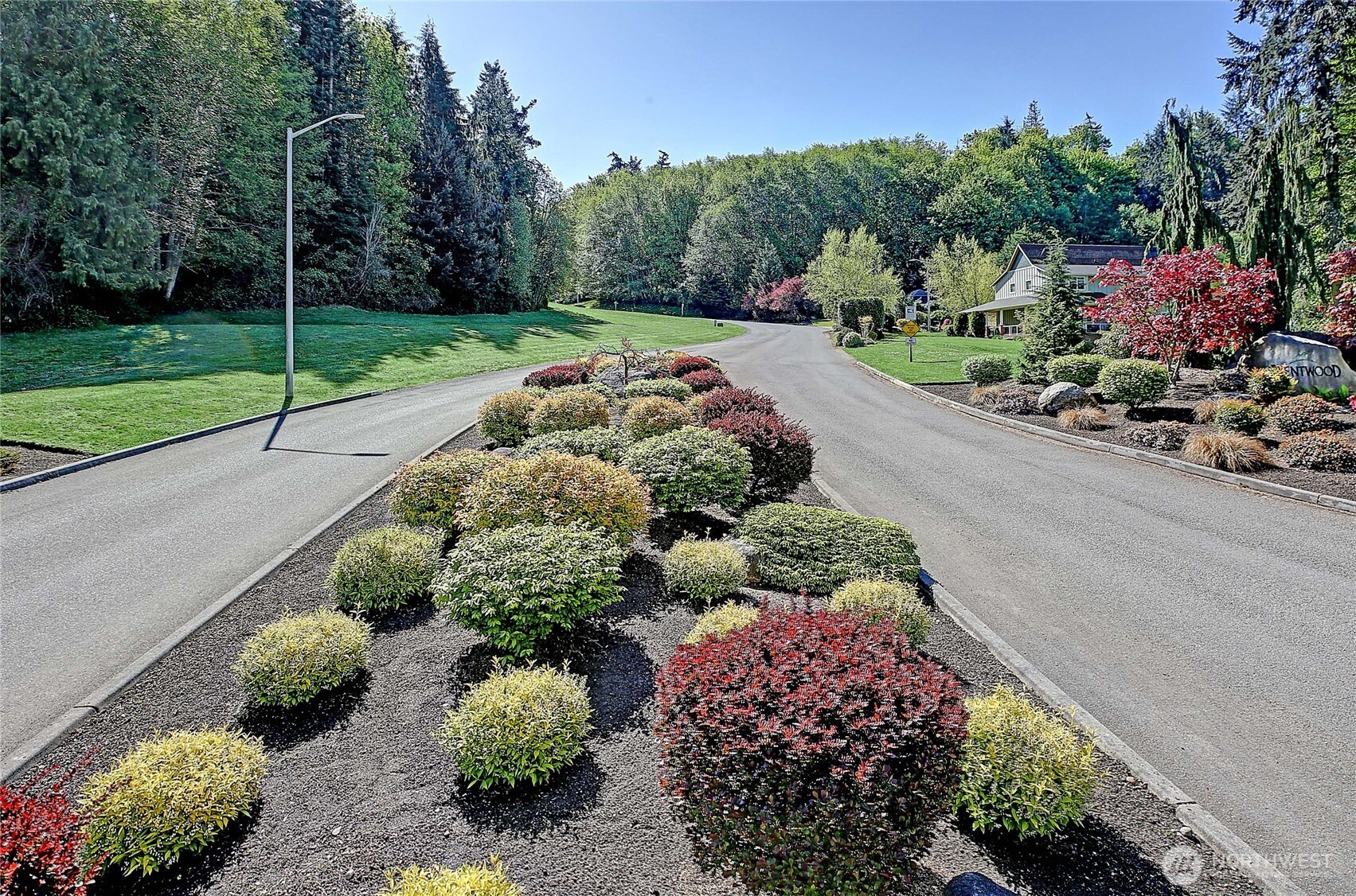 1081 Morgan Way Camano Island, WA 98282 - Photo 38 of 39 a view of a park with plants and trees