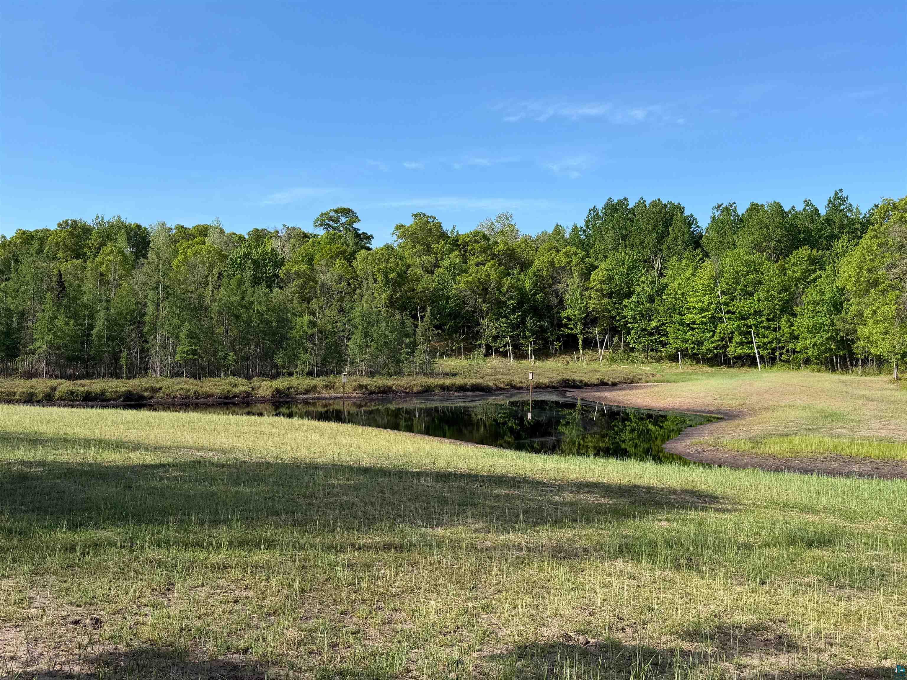11702 East Mail Road Gordon, WI 54838 - Photo 23 of 60 Expansive land parcel featuring a natural pond, mature tree line, and open grassy areas