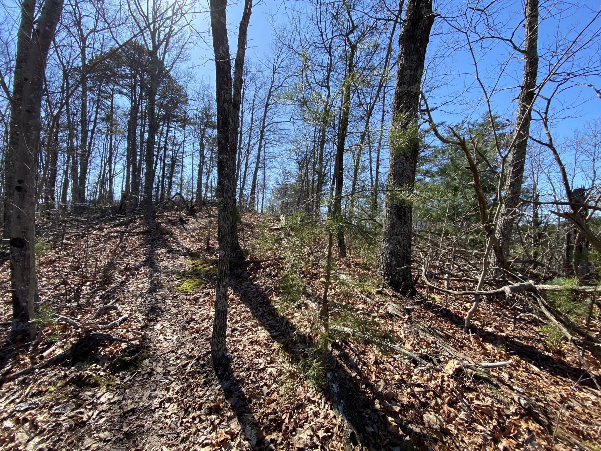 0 South Clear Fork Road Sevierville, TN 37862 - Photo 14 of 22 Gallery Image 14