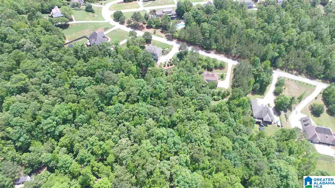 Lot 2 Brookview Lane, Unit 2 Helena, AL 35080 - Photo 3 of 13