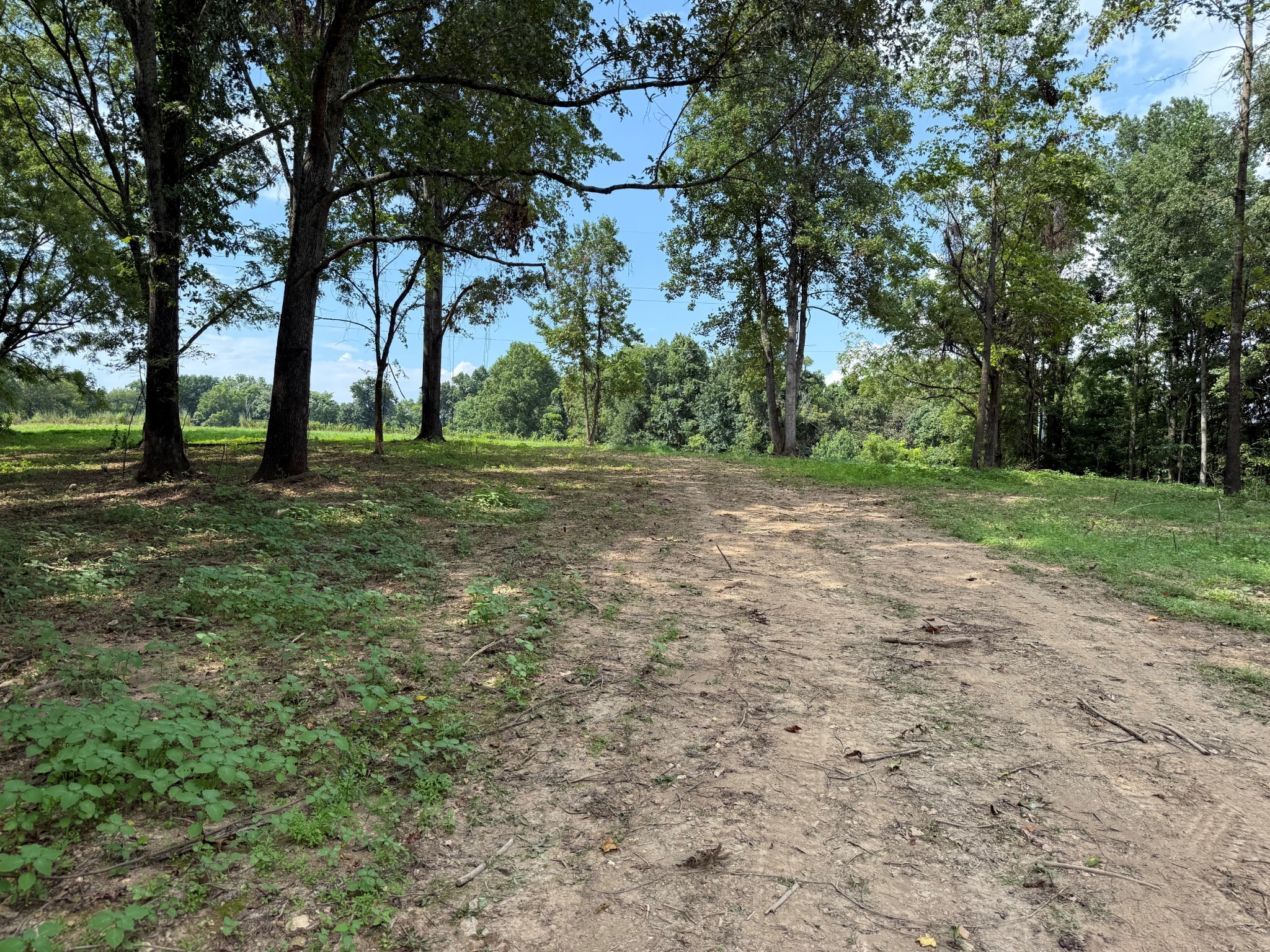 12 A Bunker Hill Road Pulaski, TN 38478 - Photo 4 of 5 a view of a field with trees