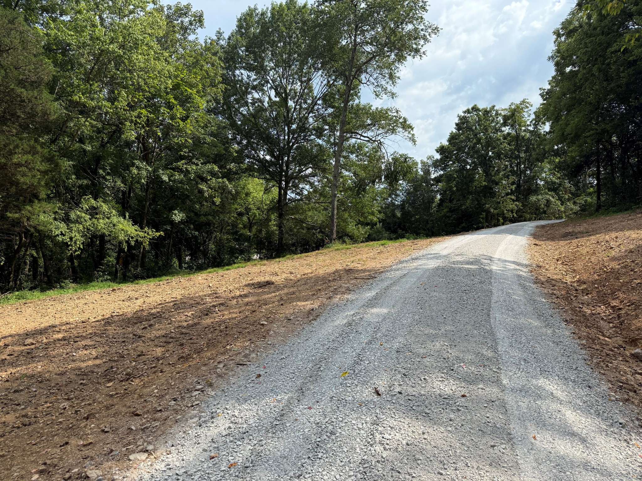 12 A Bunker Hill Road Pulaski, TN 38478 - Photo 5 of 5 a view of an outdoor space with trees