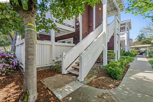 a view of a house with a small yard and potted plants