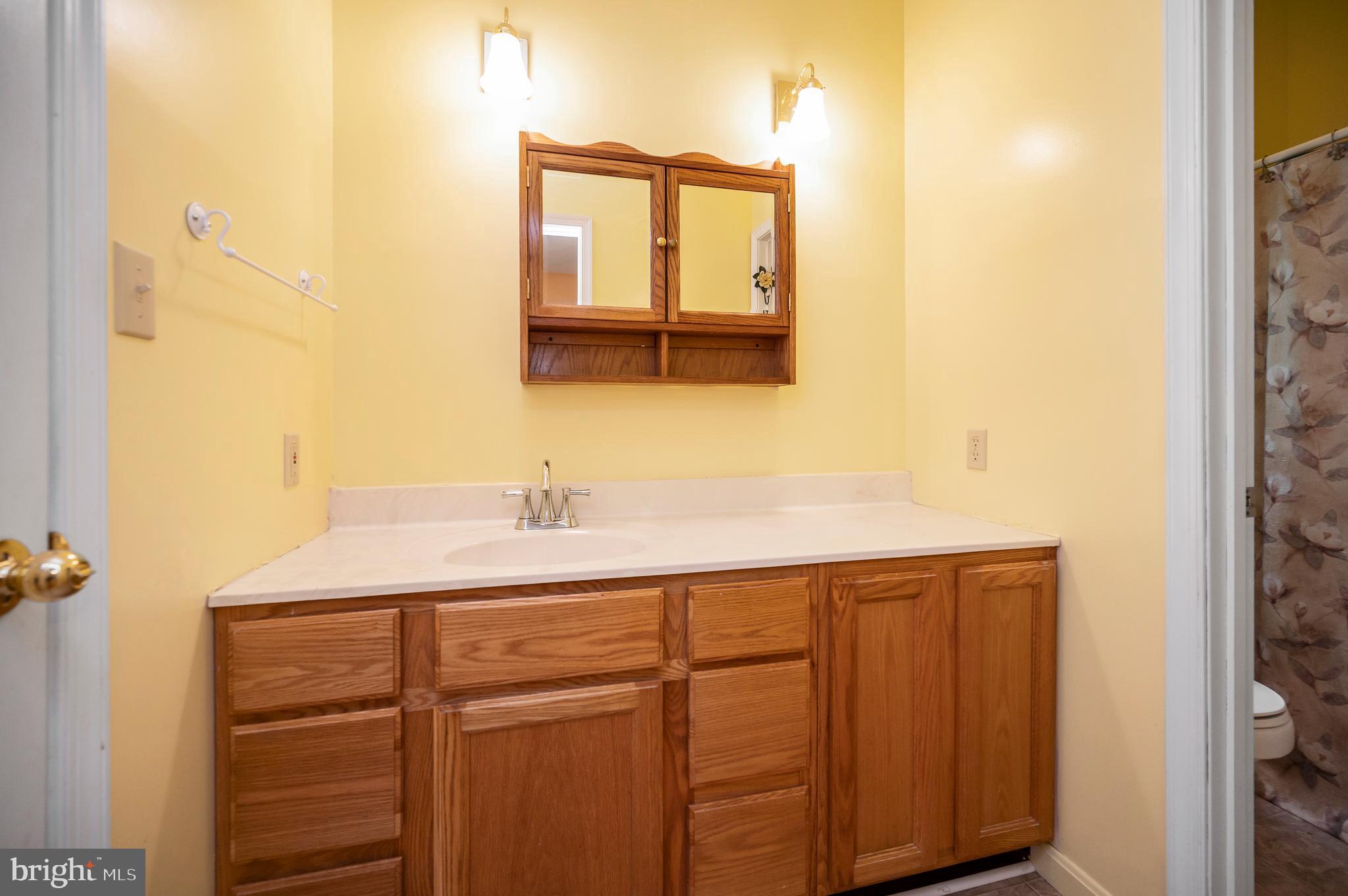 319 Richland Road Fredericksburg, VA 22406 - Photo 34 of 52 Jack and Jill bathroom.