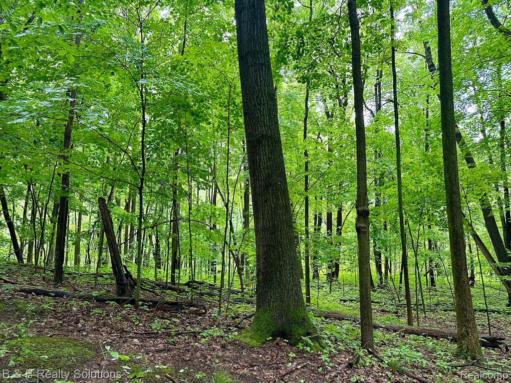 0 South Lake Pleasant Road Metamora, MI 48455 - Photo 17 of 32