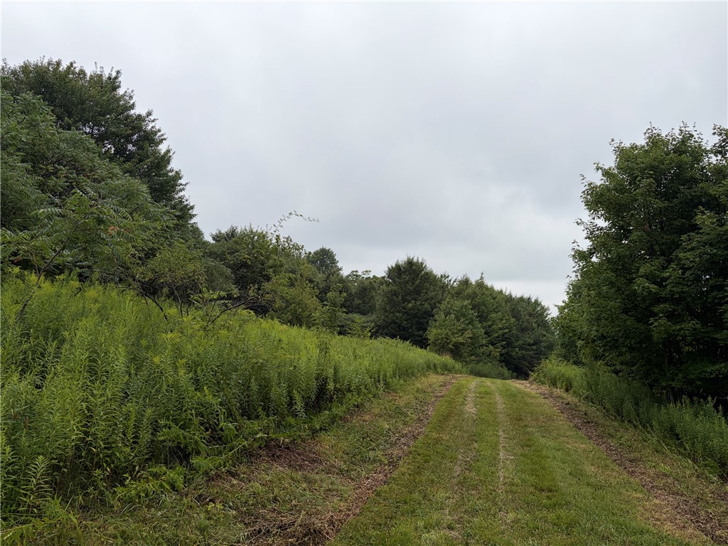 10005 Sawmill Run Road Napoli, NY 14755 - Photo 28 of 43 Gallery Image 28