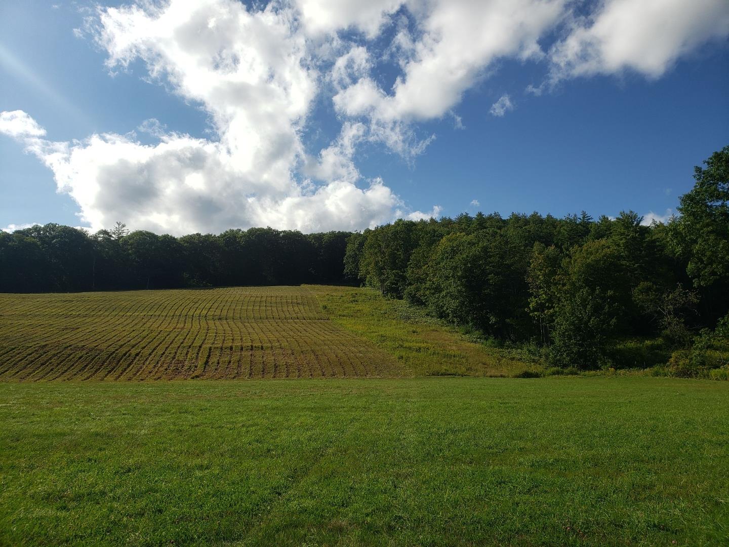 816 Popple Dungeon Road Chester, VT 05143 - Photo 33 of 40