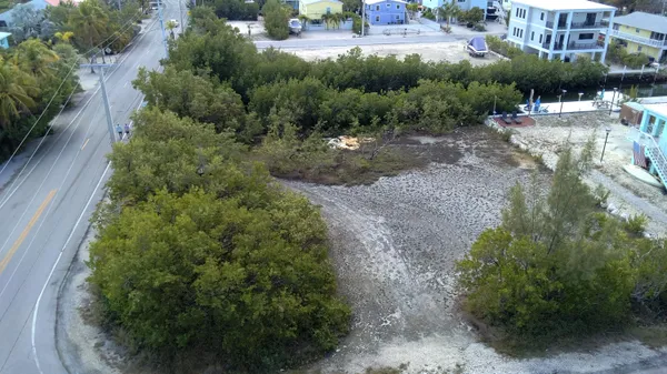 a view of a town with trees and houses