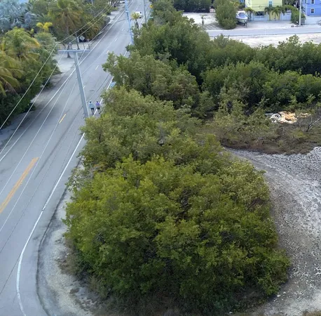 a view of a garden with a pathway