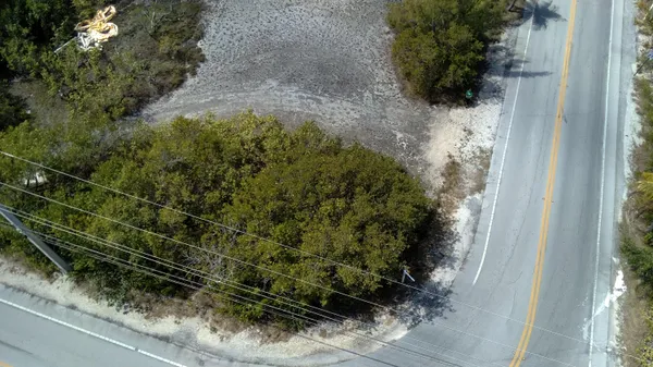 a plant that is in front of a window