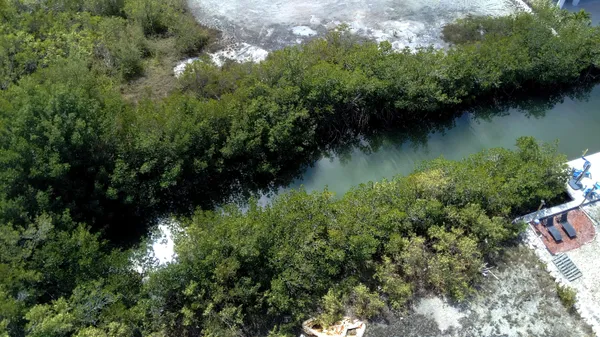 a view of a backyard with plants and lake view