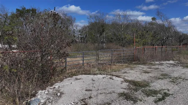 a view of a yard with large trees