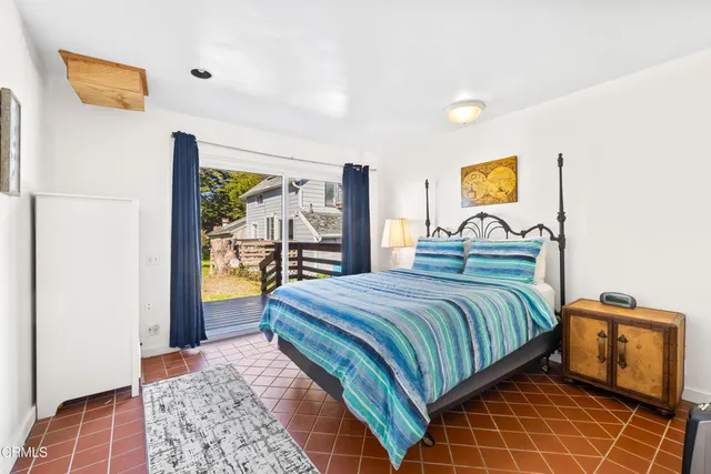 a view of a yard with plants and large trees