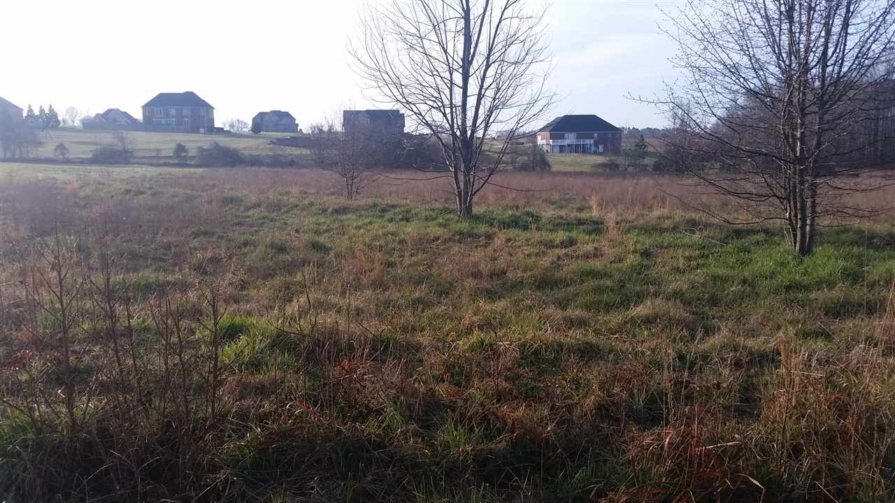 740 State Rd S-42-2215 Roebuck, SC 29376 - Photo 3 of 20