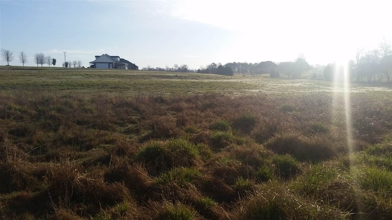 740 State Rd S-42-2215 Roebuck, SC 29376 - Photo 8 of 20