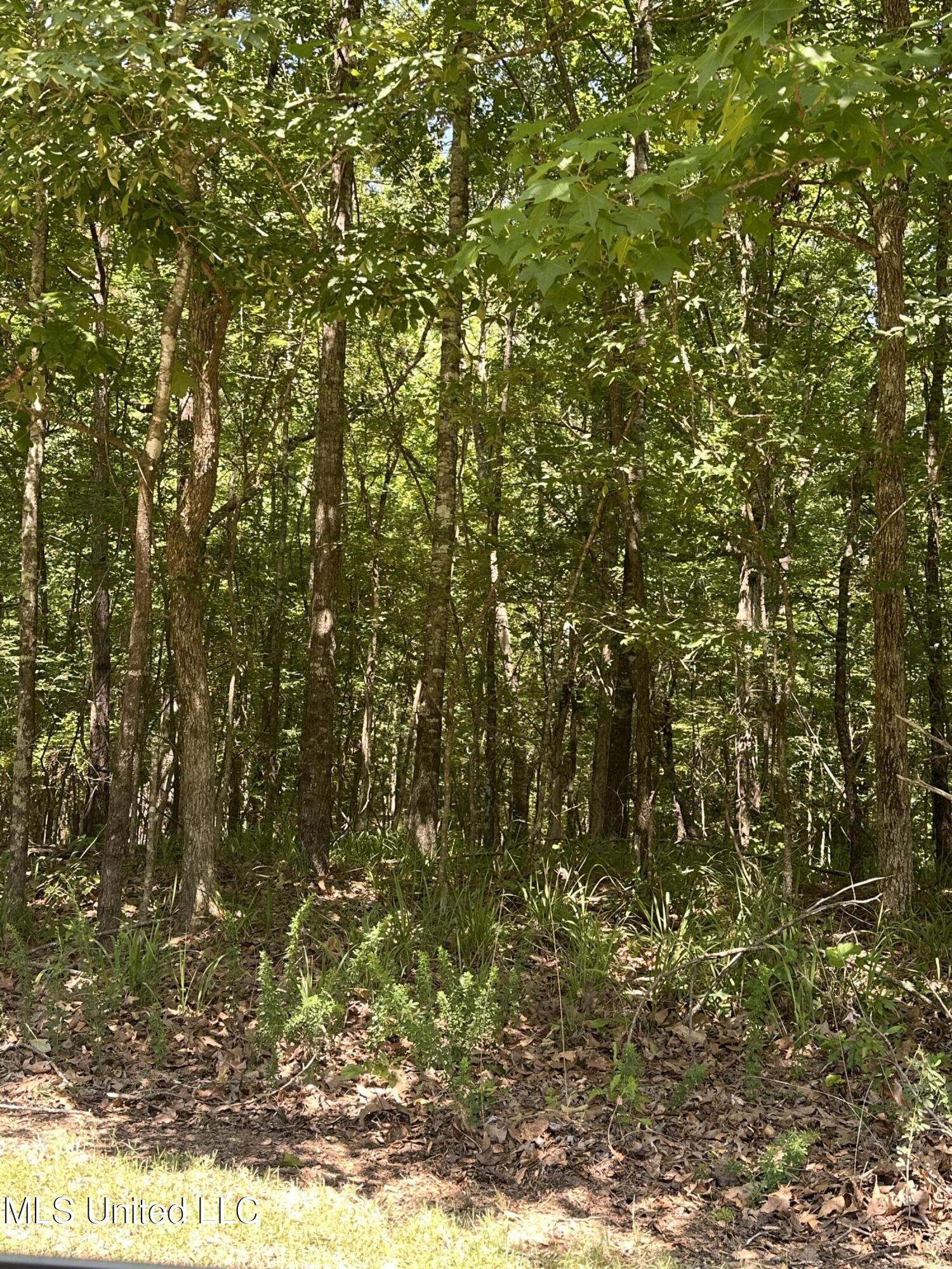 North Ridge Road Grenada, MS 38901 - Photo 2 of 7 IMG_6401