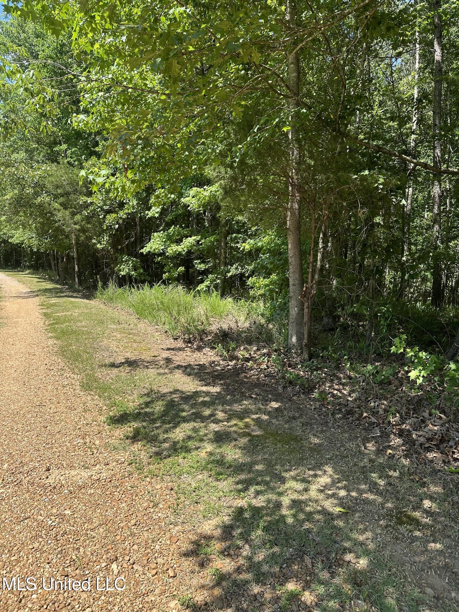 North Ridge Road Grenada, MS 38901 - Photo 4 of 7 IMG_6396