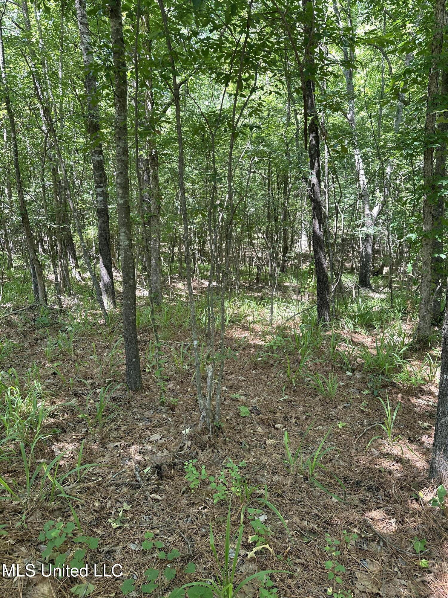 North Ridge Road Grenada, MS 38901 - Photo 5 of 7 IMG_6388