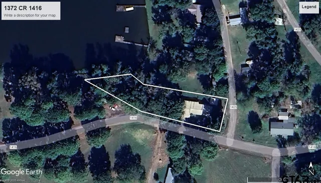 a view of a tree in a garden