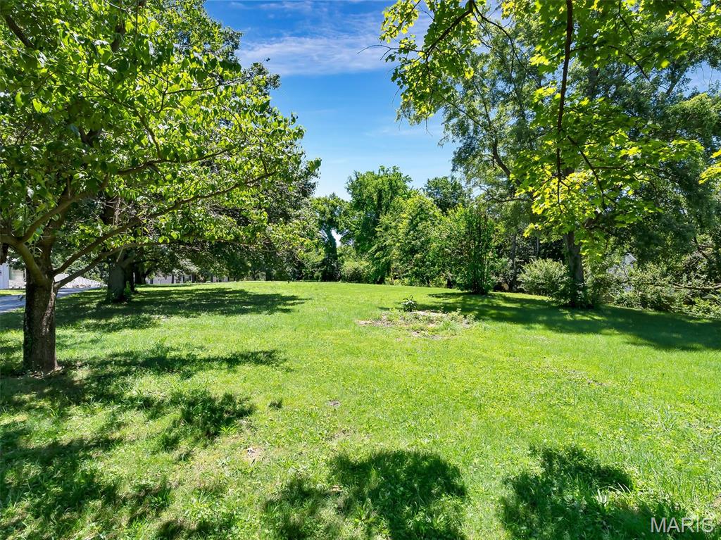 908 North Ballas Road St. Louis, MO 63131 - Photo 44 of 53