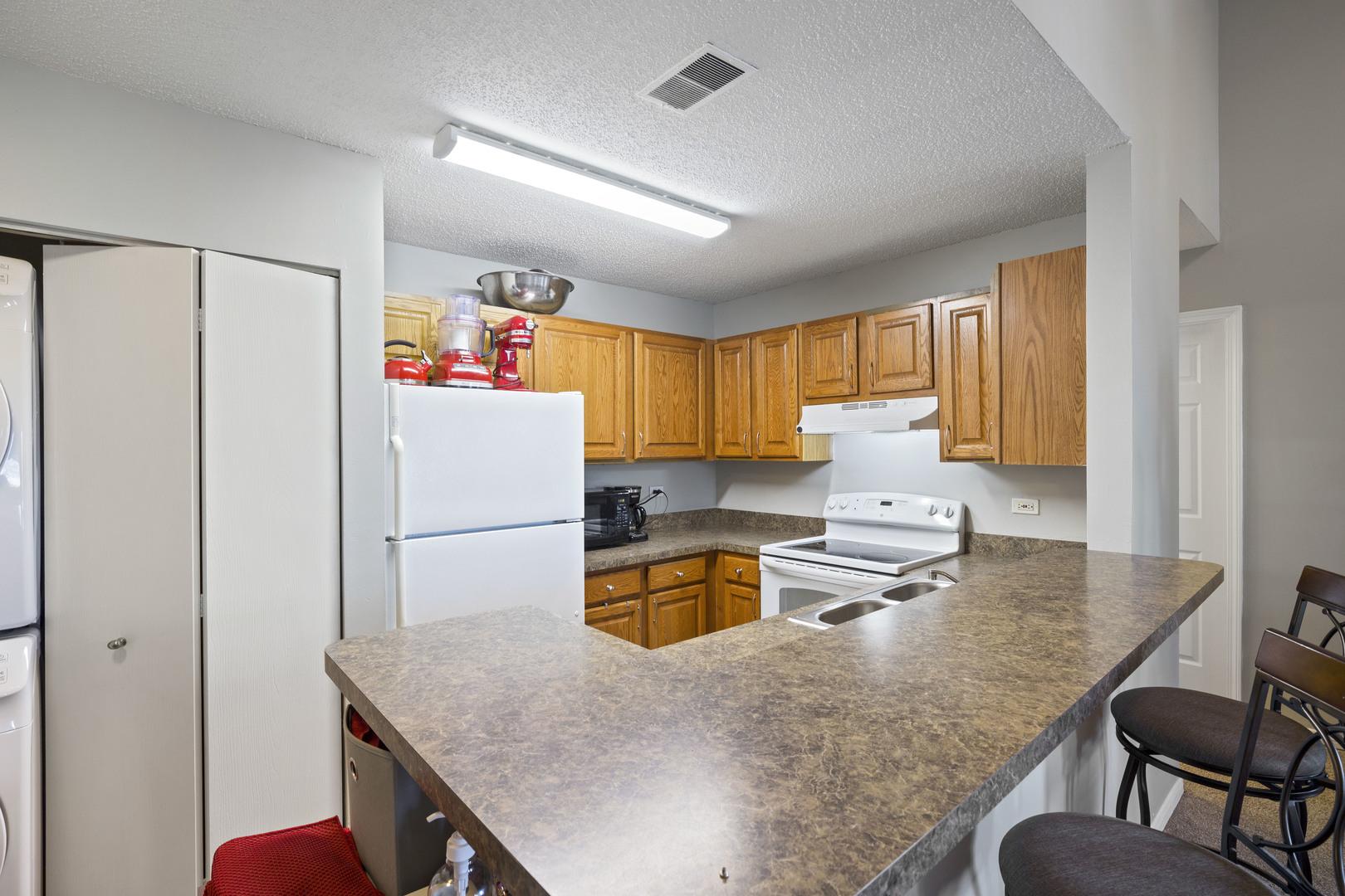 1975 North Hicks Road, Unit 207 Palatine, IL 60074 - Photo 3 of 12