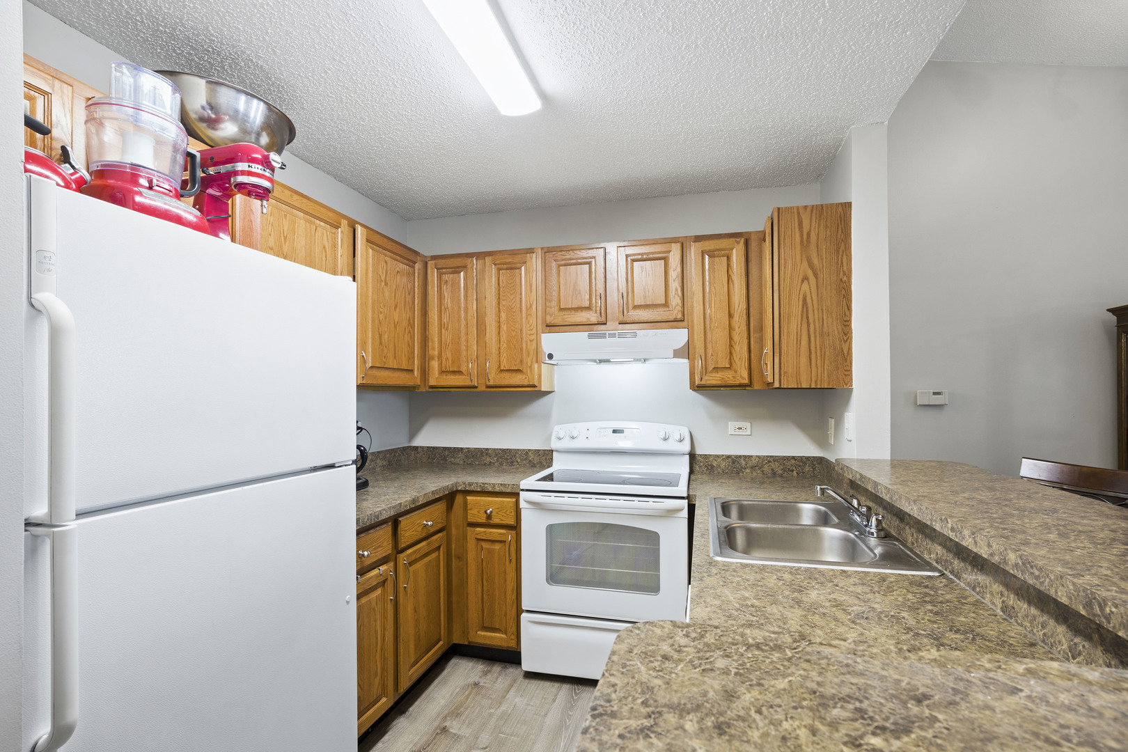 1975 North Hicks Road, Unit 207 Palatine, IL 60074 - Photo 5 of 12