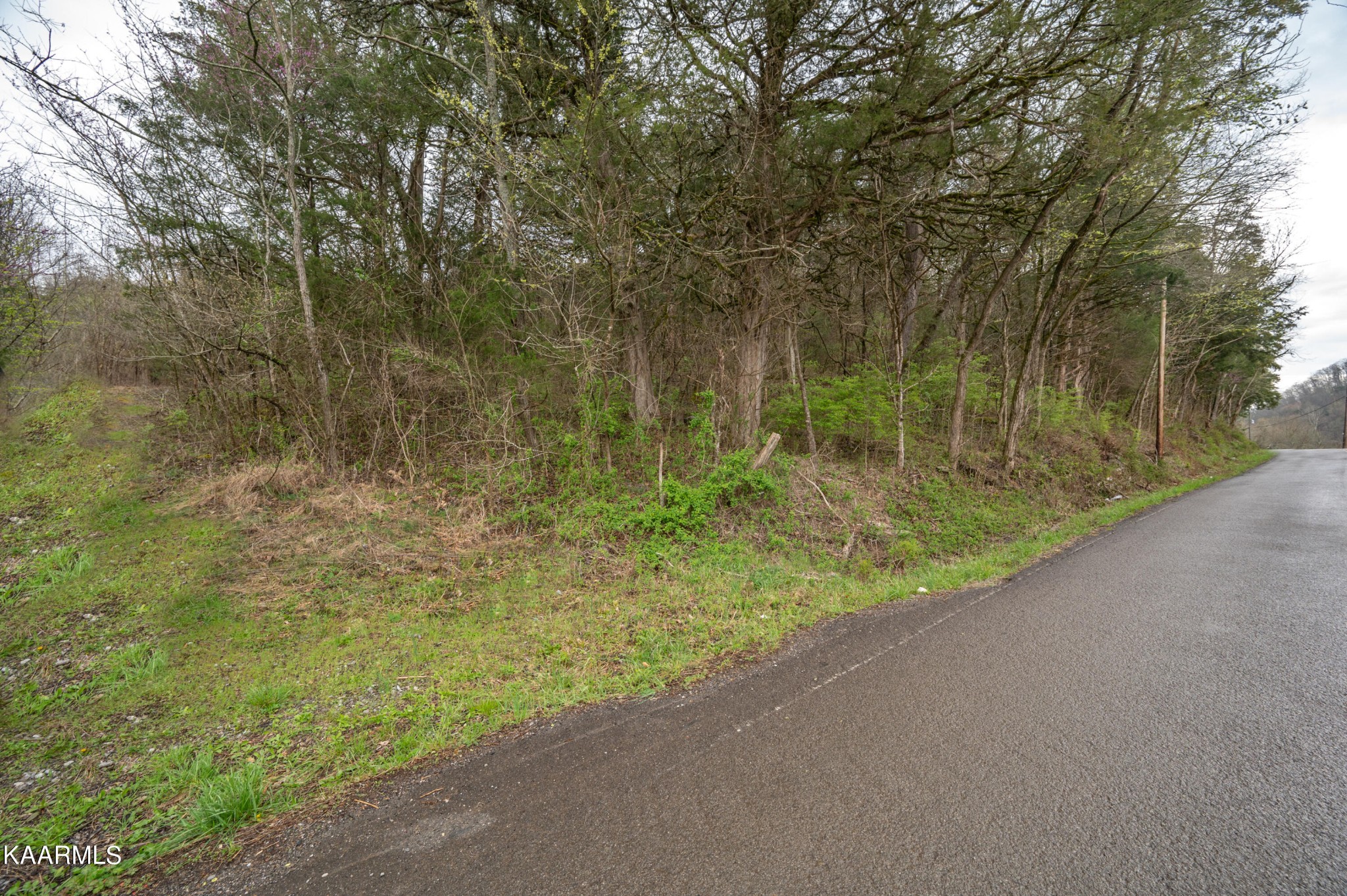 0 Walker Ford Road Maynardville, TN 37807 - Photo 22 of 24 Gallery Image 22