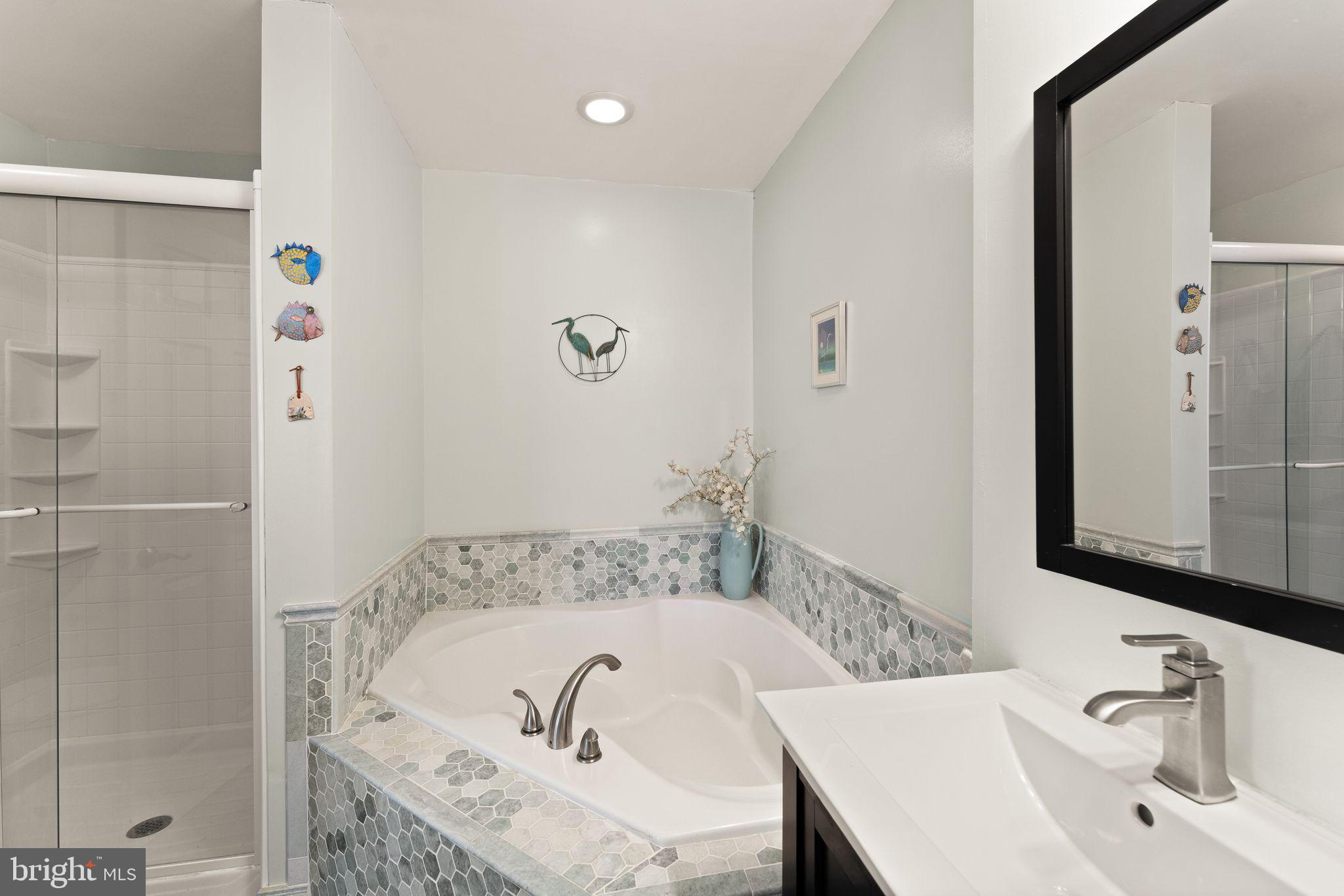 6377 St Timothys Lane Centreville, VA 20121 - Photo 34 of 58 a bathroom with a tub sink and mirror