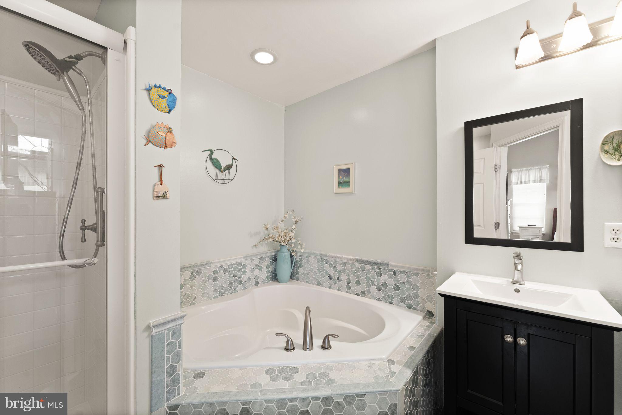 6377 St Timothys Lane Centreville, VA 20121 - Photo 35 of 58 a bathroom with a sink and a bathtub