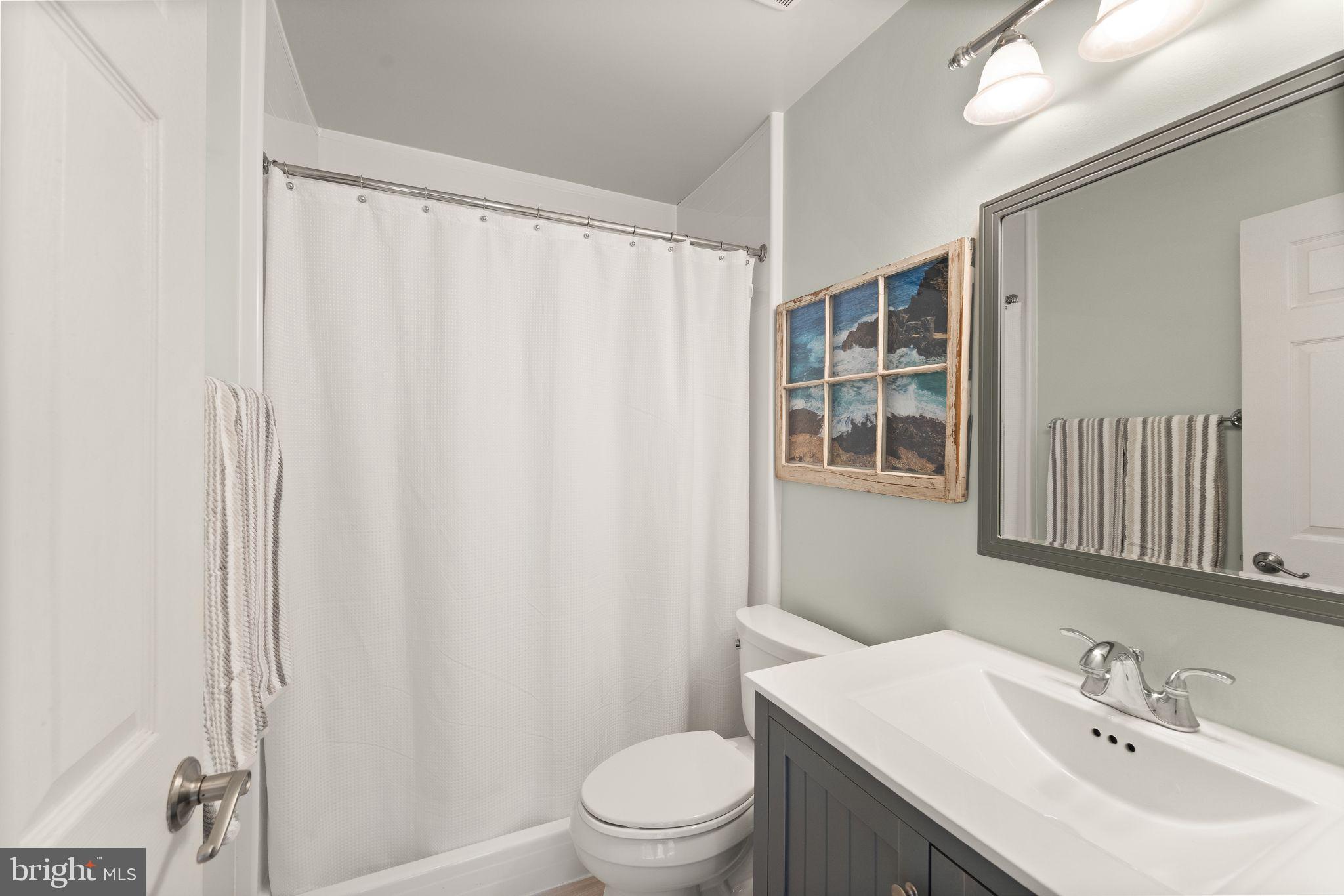 6377 St Timothys Lane Centreville, VA 20121 - Photo 44 of 58 a bathroom with a sink a toilet and shower curtain