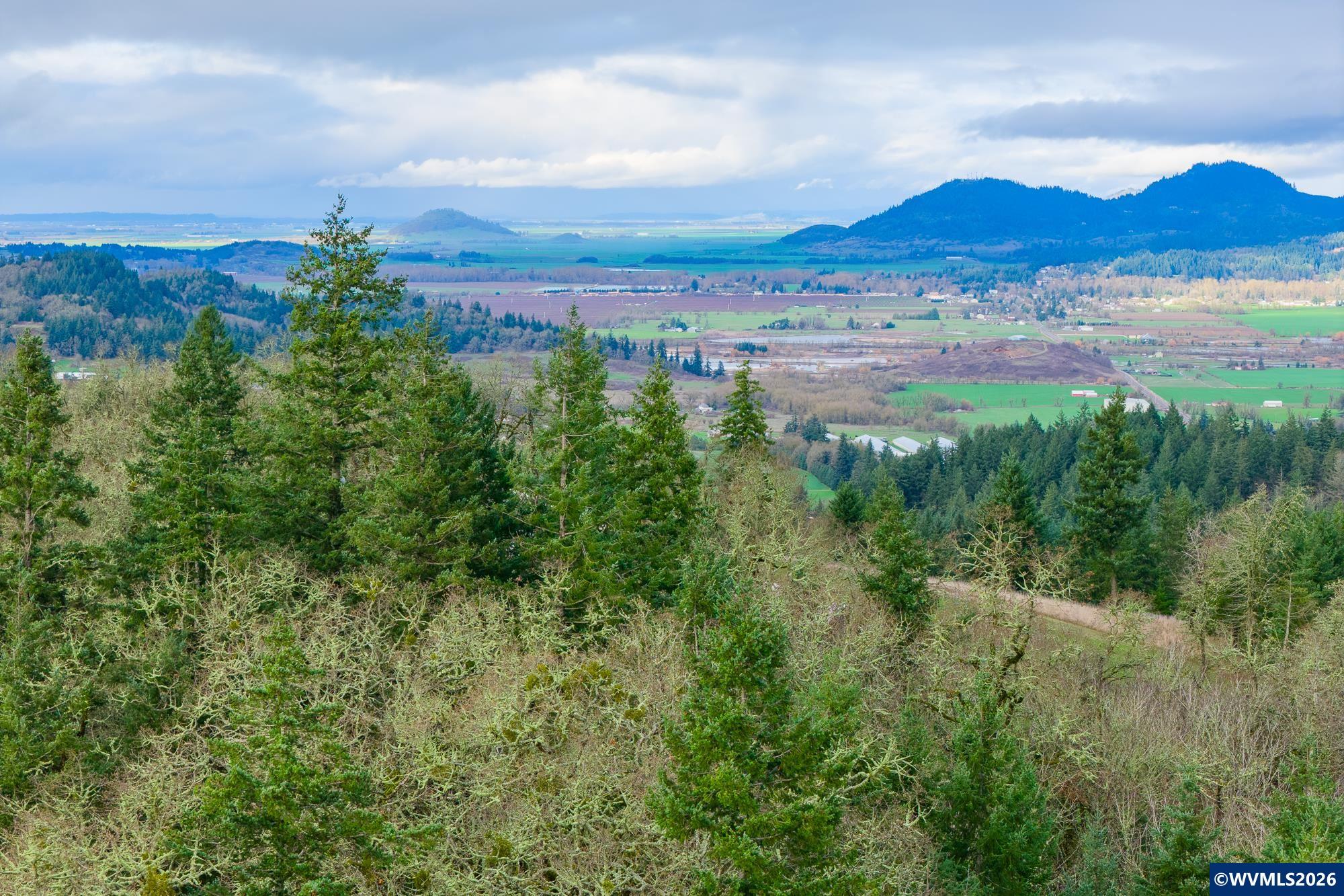 24869 Gap Road Brownsville, OR 97327 - Photo 47 of 50