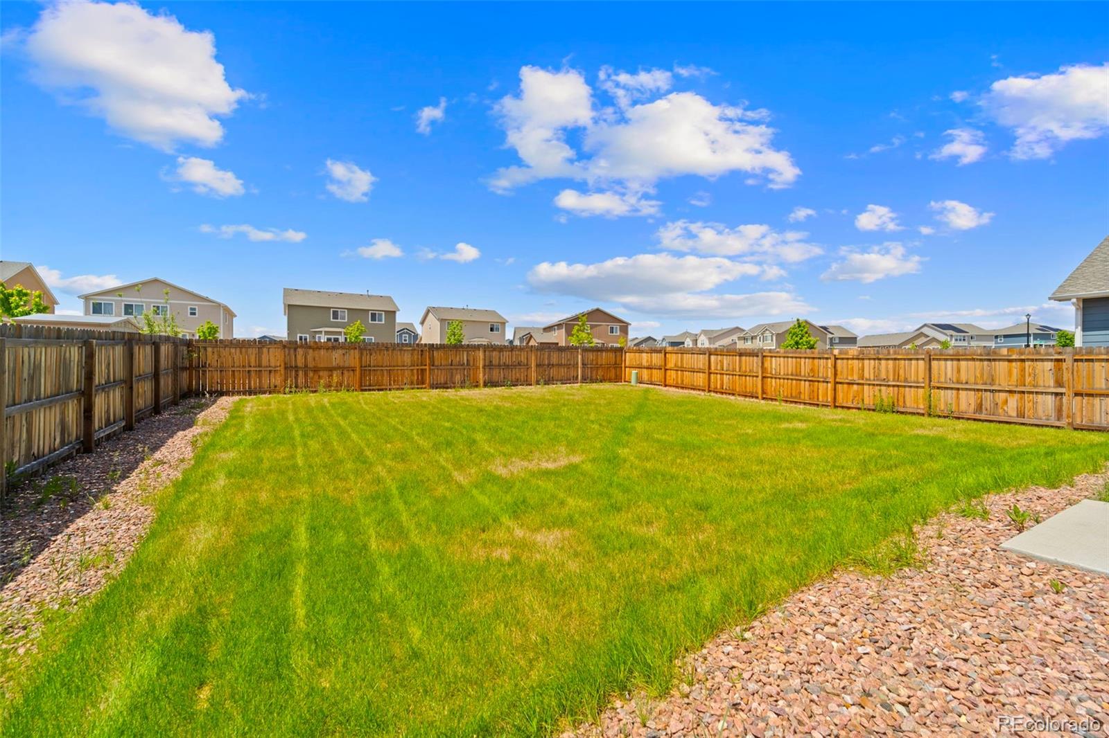 7721 Berwyn Loop Peyton, CO 80831 - Photo 35 of 35 a view of a swimming pool with a yard