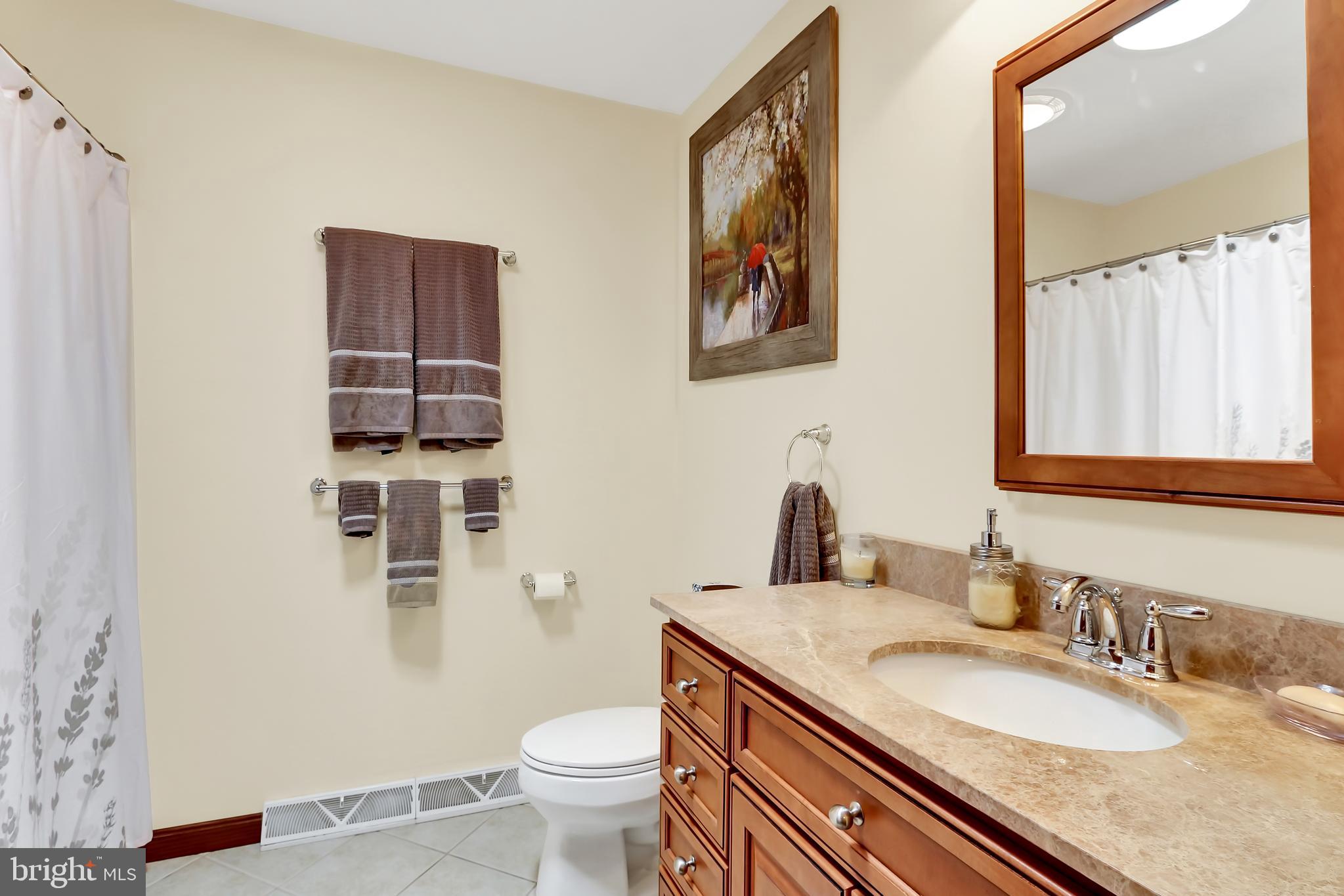 4442 Walters Hatchery Road Spring Grove, PA 17362 - Photo 17 of 26 Main Bathroom