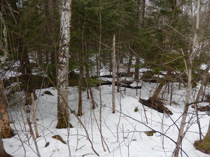 109 Webbs Mills Road Raymond, ME 04071 - Photo 29 of 33 Photo