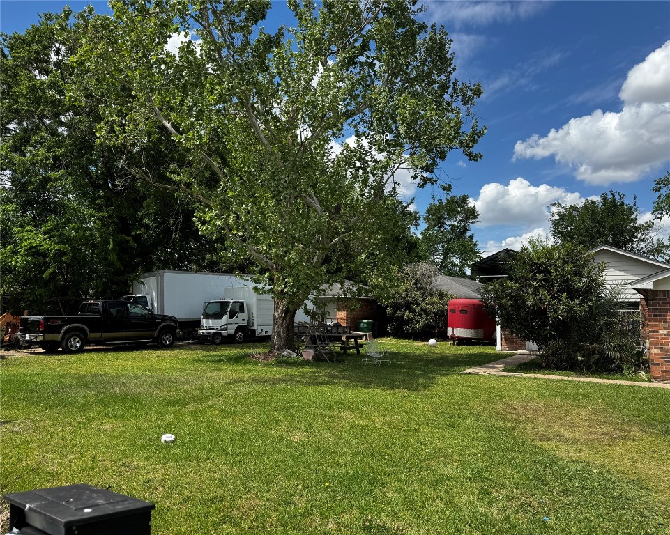 a view of a park with large trees