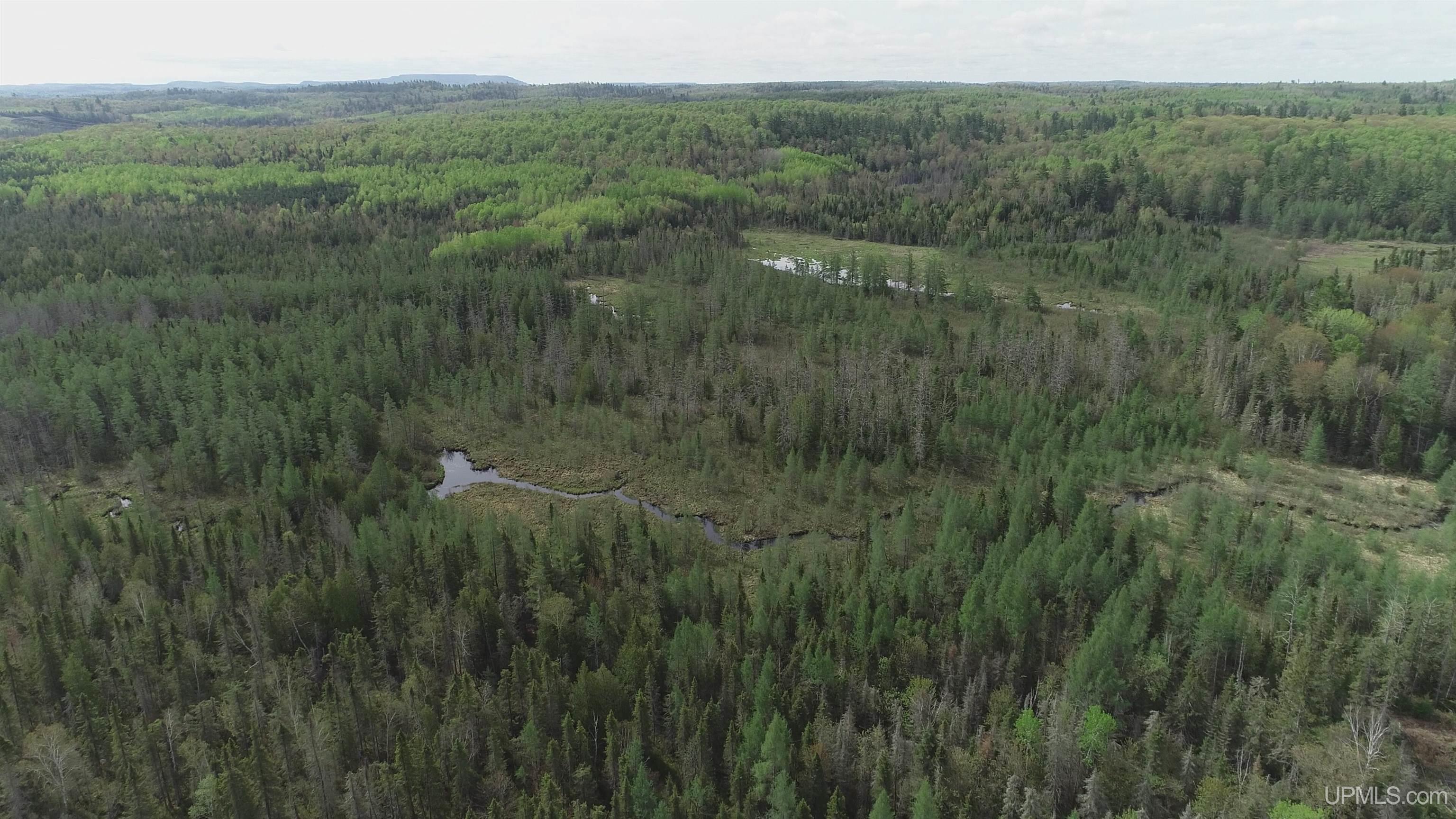 280-acres County Road CCN Road Negaunee, MI 49866 - Photo 4 of 48