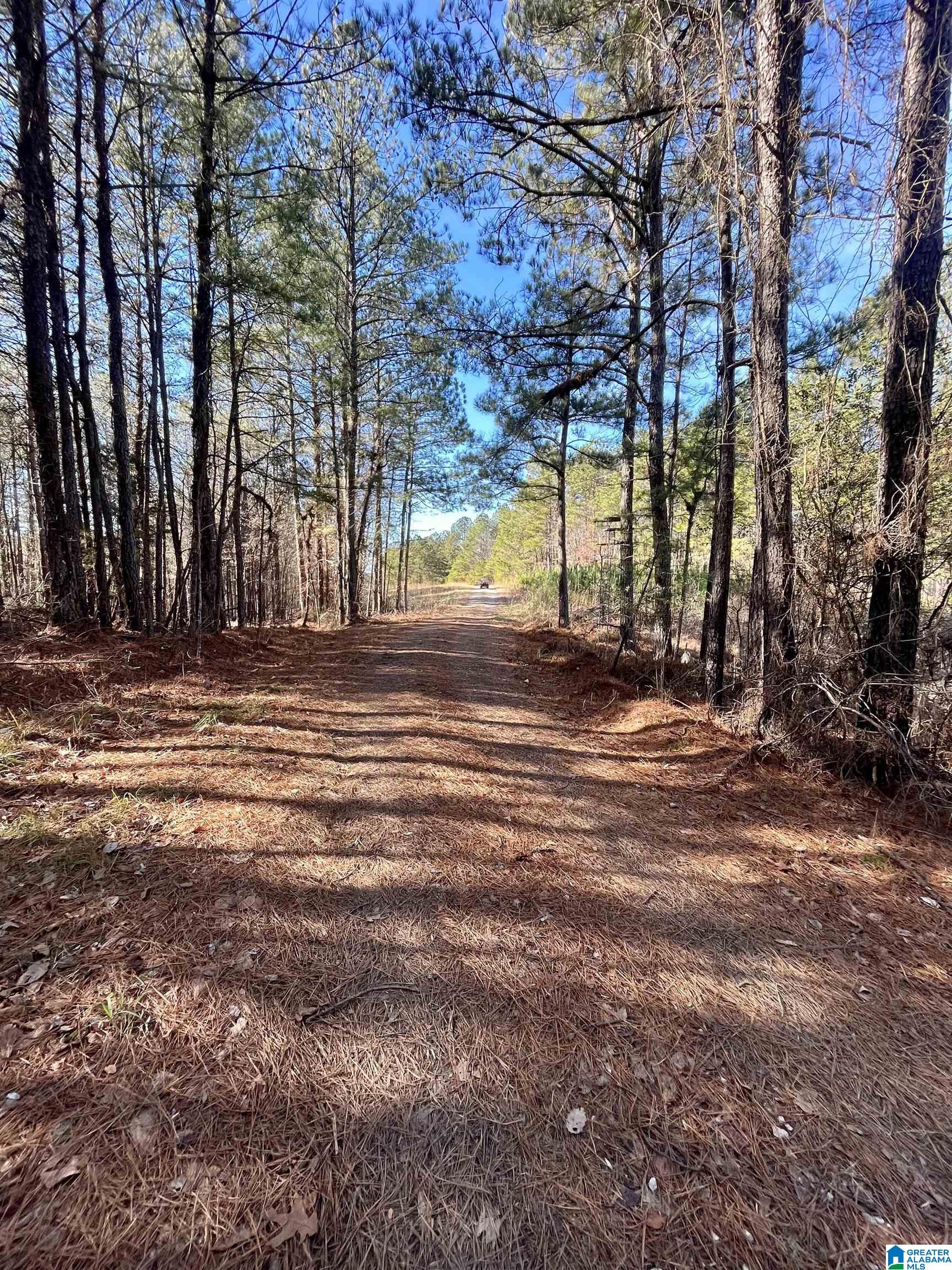 5000 Eads Uptain Road, Unit 1 2 3 4 Adger, AL 35006 - Photo 22 of 35