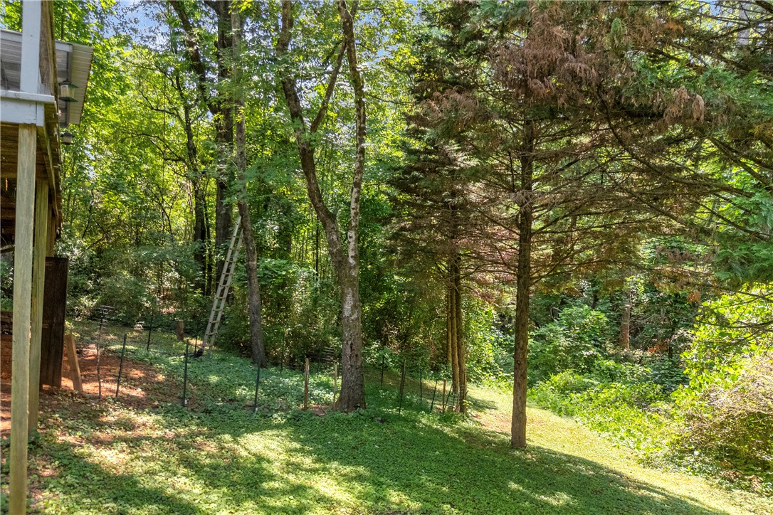 162 Newberry Road Walhalla, SC 29691 - Photo 48 of 50 A tranquil wooded yard offers privacy and natural beauty, perfect for outdoor living.