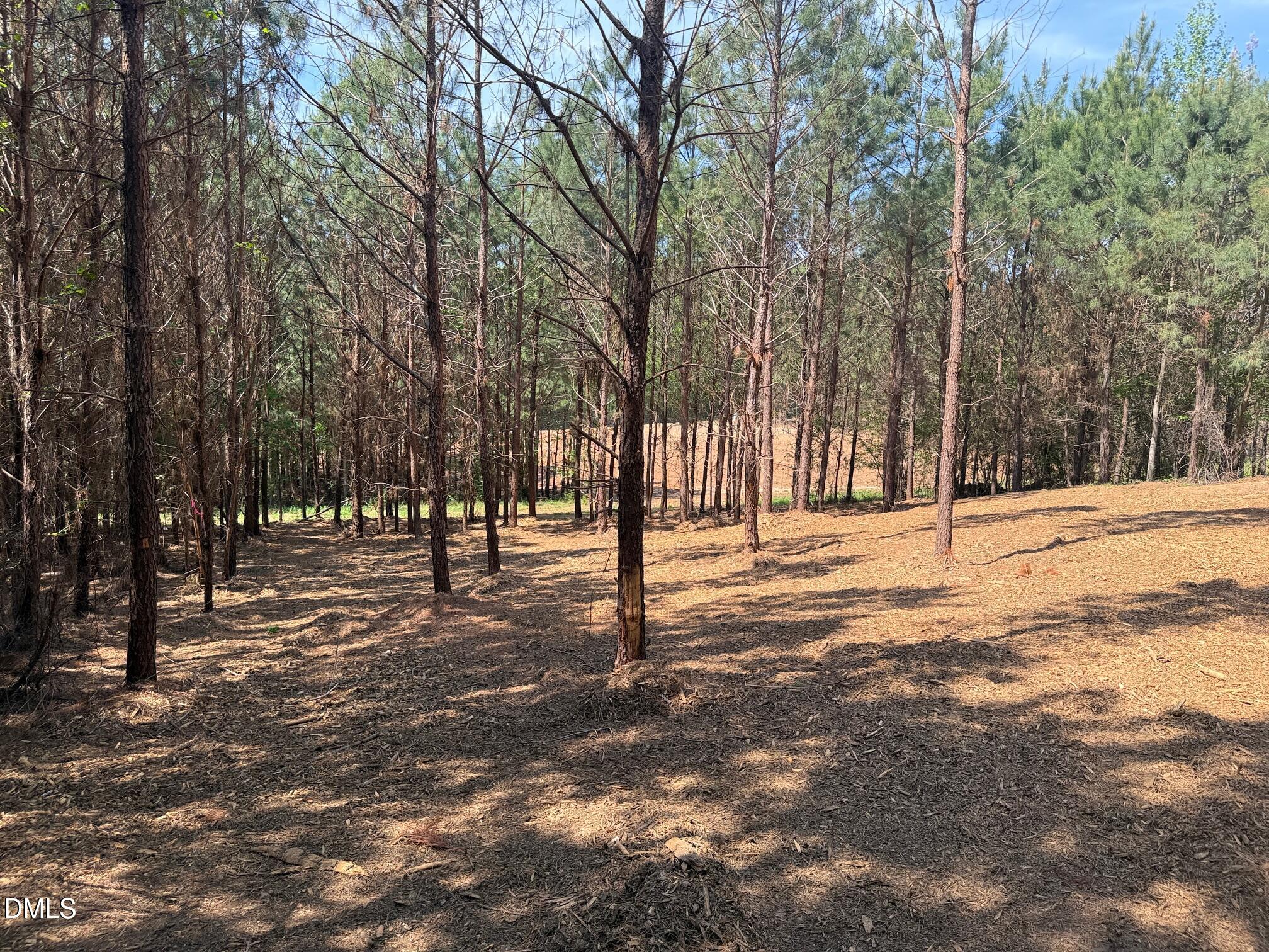 2379 Peachtree Hills Road Spring Hope, NC 27882 - Photo 5 of 11 IMG_3261