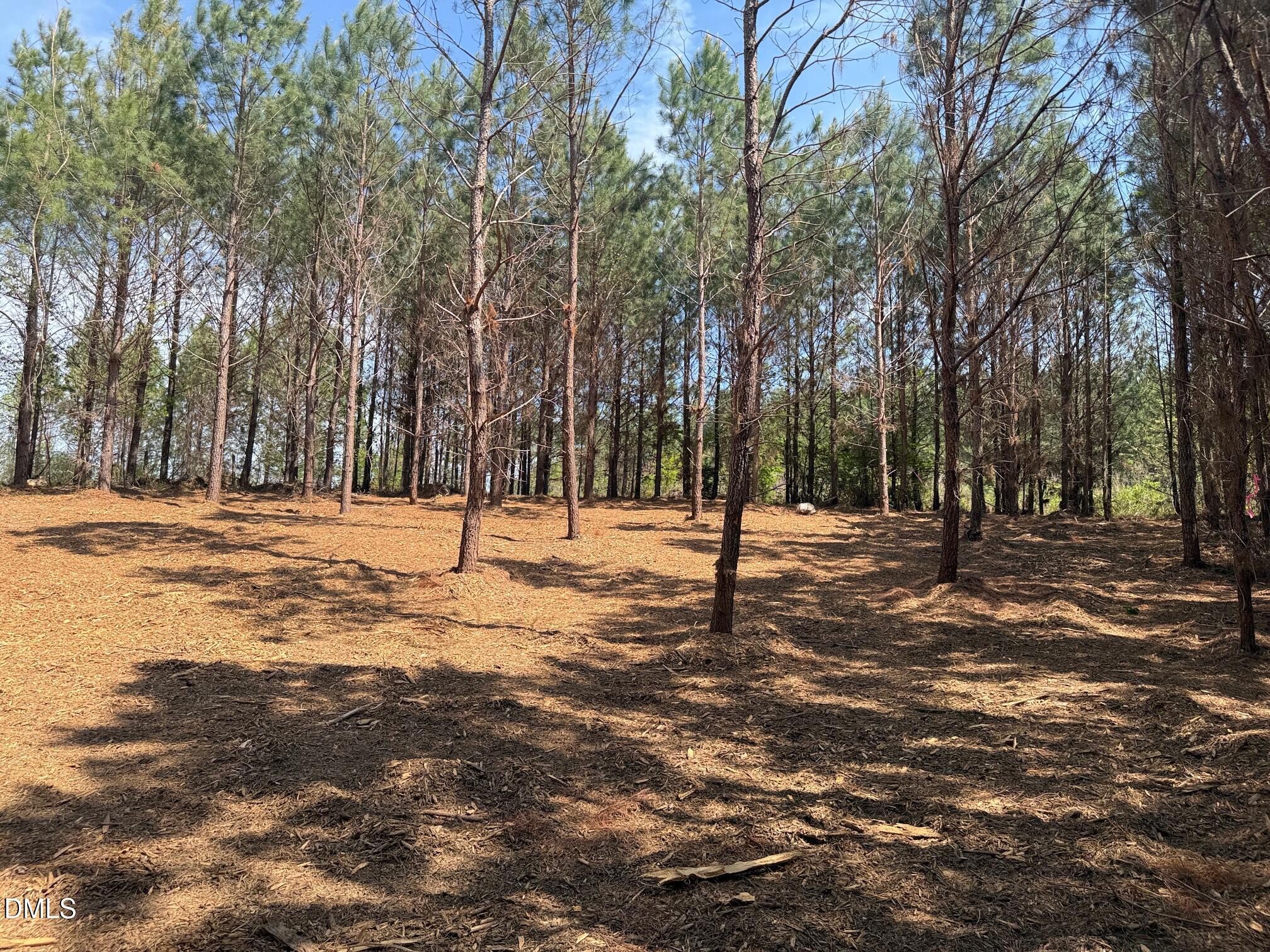 2379 Peachtree Hills Road Spring Hope, NC 27882 - Photo 6 of 11 IMG_3262