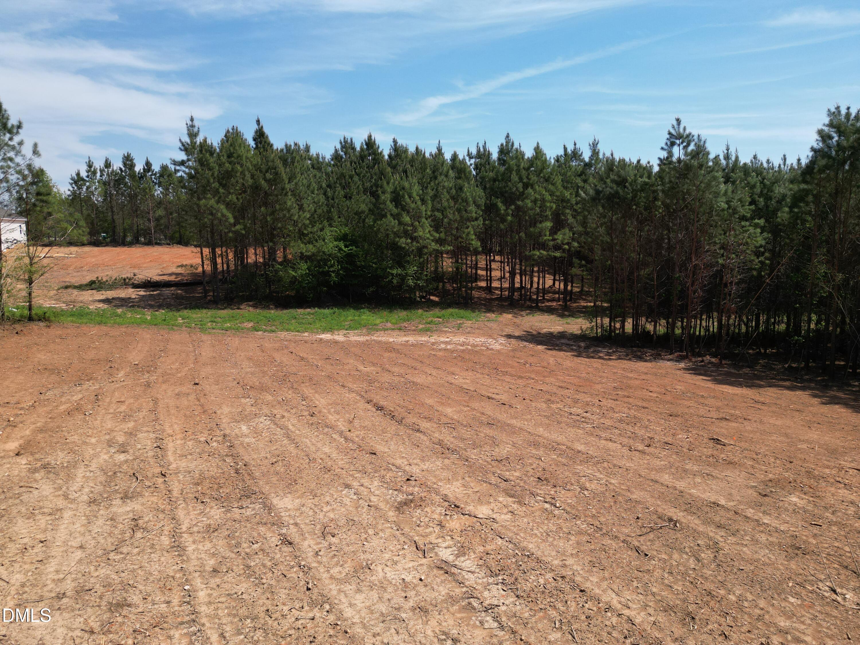 2379 Peachtree Hills Road Spring Hope, NC 27882 - Photo 8 of 11 DJI_0801