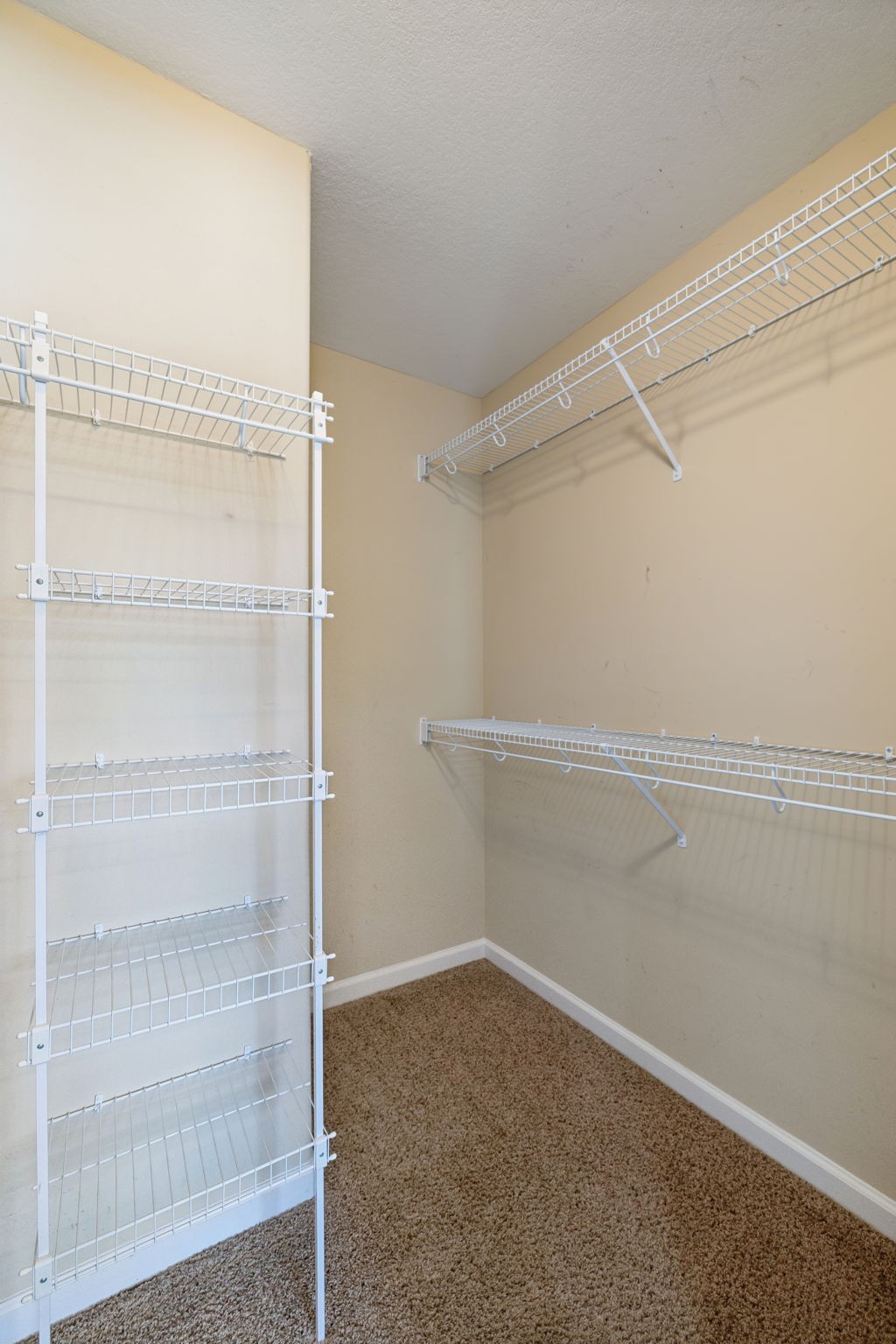 3760 Suiter Road Clarksville, TN 37040 - Photo 17 of 39 a view of an empty walk in closet